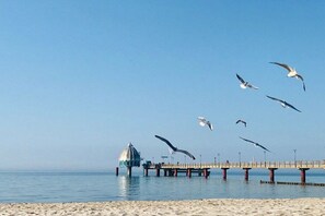 A beach with a pier extending into the water, a gazebo-like structure, and seagulls flying overhead. - Holiday apartment "Am Ostseedeich" (Zingst)