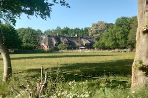 A rural setting with thatched-roof buildings, a fenced field, and trees. - Holiday apartment with 2 bedrooms (Nottfeld)