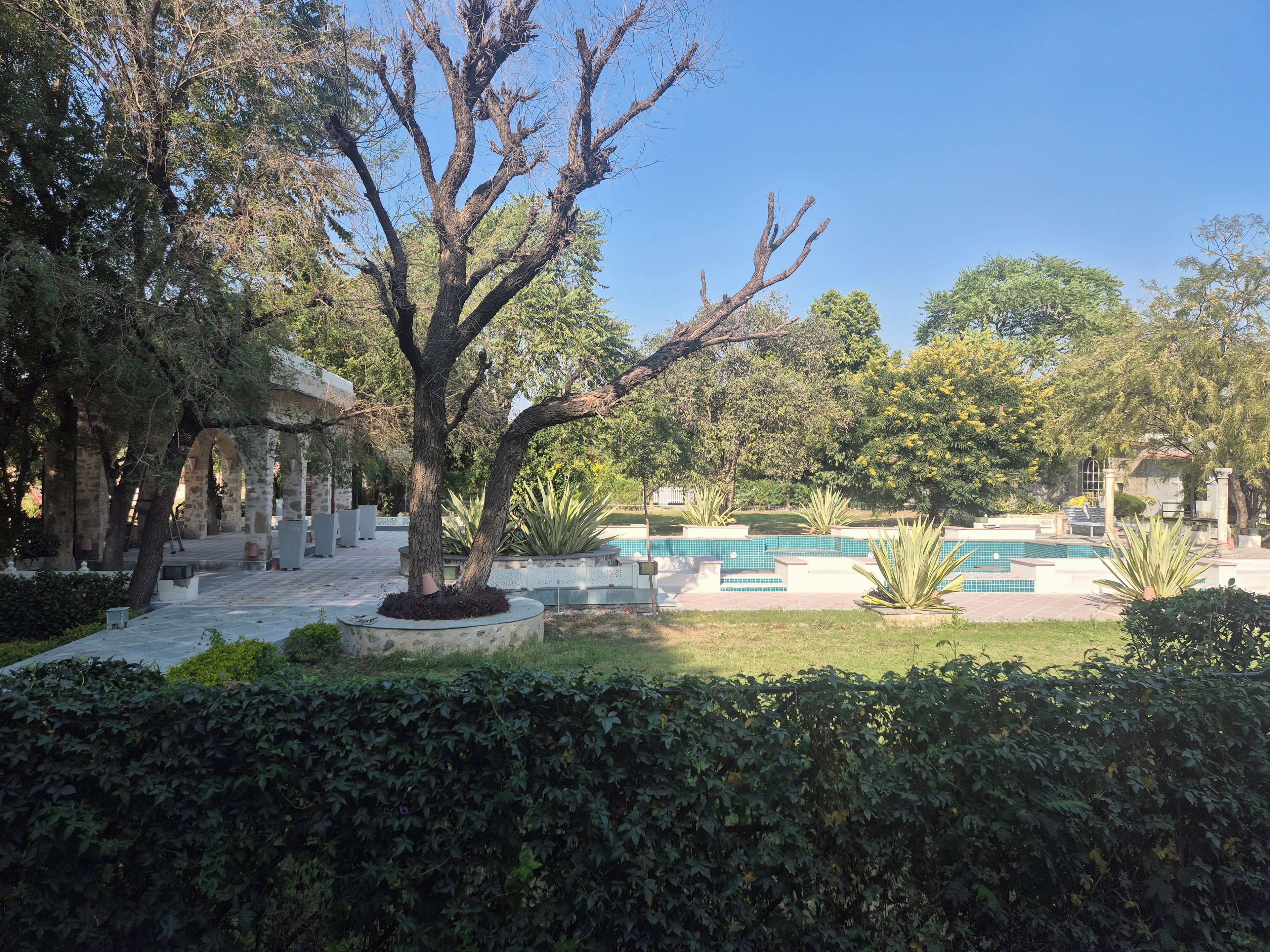 A courtyard with a swimming pool, stone columns, and lush greenery.