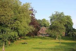A rural landscape with a thatched-roof house surrounded by lush greenery. - Pastorate Garden Schlei (Norderbrarup)