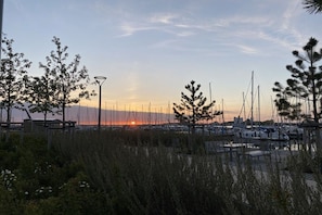 En småbåtshamn med förtöjda båtar, omgiven av träd och en solnedgång i bakgrunden.