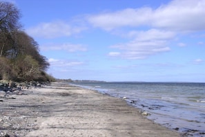 A sandy beach with a rocky shoreline and sparse vegetation. - Holiday apartment with 2 bedrooms (Steinberg)
