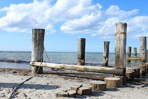 Ein Strand mit Holzpfählen und Baumstämmen, sandigem Ufer und ruhigem Wasser.