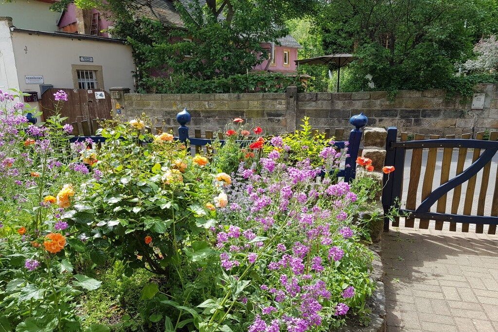 A garden with a variety of flowers and a stone wall.