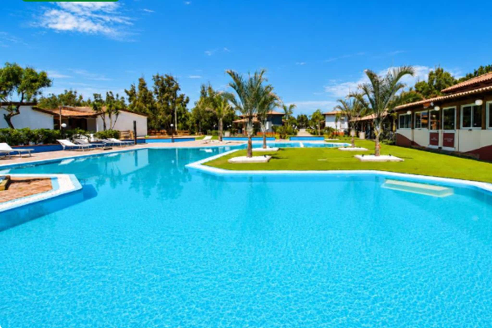 A clear blue swimming pool with lounge chairs and palm trees around it.