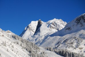 Eine verschneite Berglandschaft mit einem markanten Gipfel und umliegenden Bäumen.