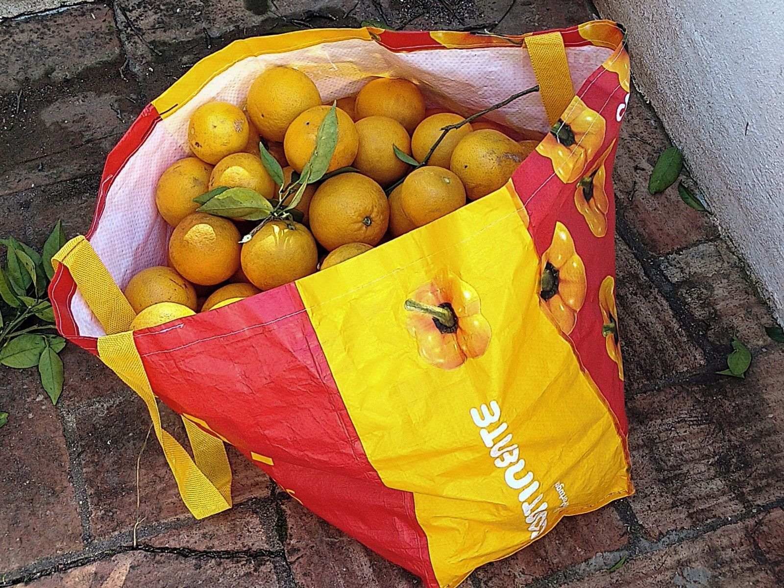 Una bolsa llena de naranjas sobre una superficie de ladrillo.