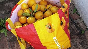 Una bolsa llena de naranjas sobre una superficie de ladrillo.