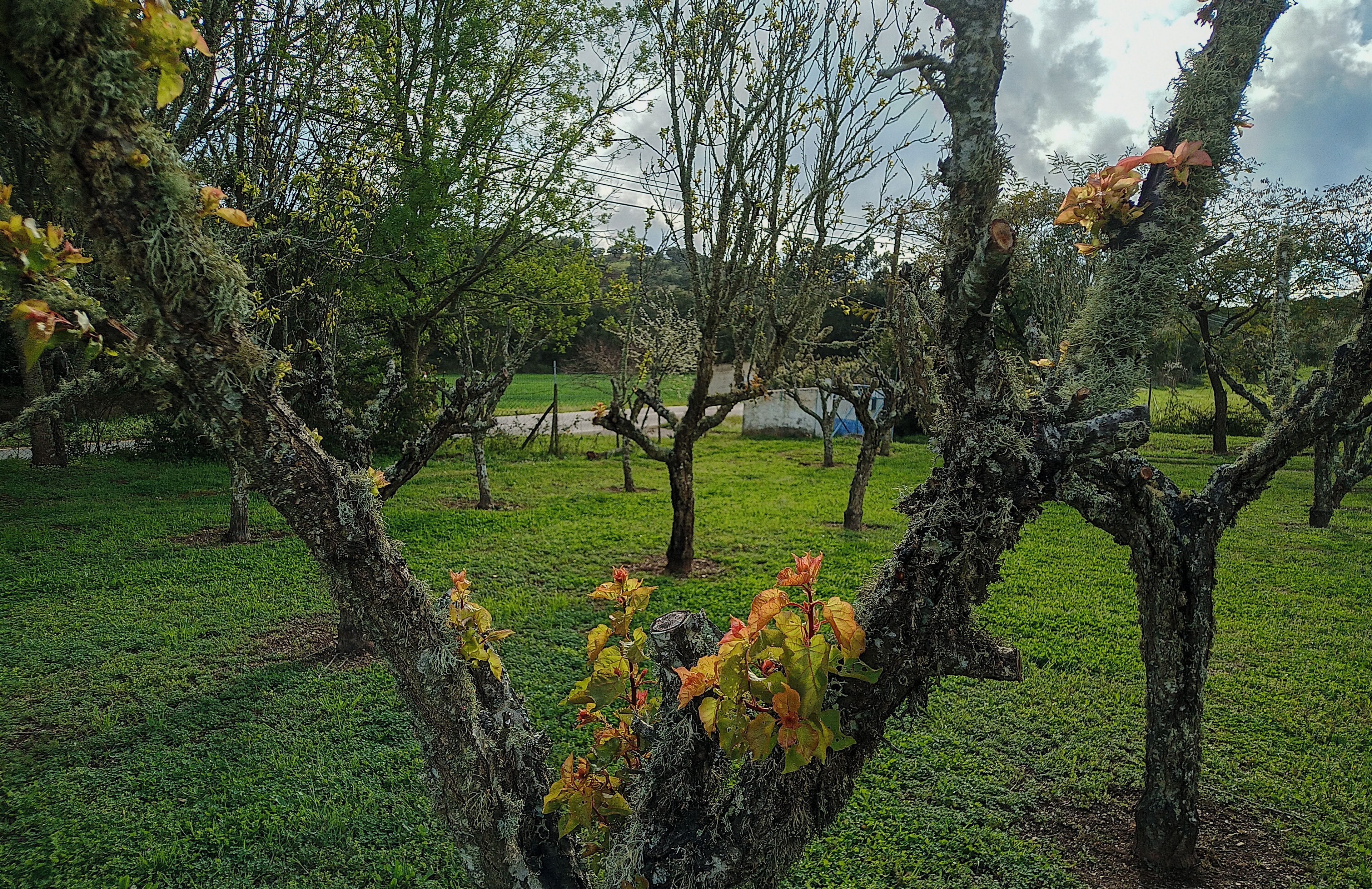 Área da propriedade