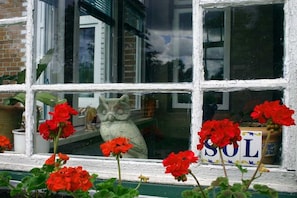 Une fenêtre ornée d’une sculpture de hibou en pierre, de fleurs rouges et d’une enseigne portant le mot « SOL ».