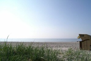 A beach scene with a wicker chair marked '119' and tall grass in the foreground. - Holiday home House Schiffchen (Sierksdorf)