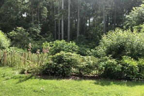 A lush garden with dense foliage and a wooden fence. - Holiday apartment with 1 bedroom (Hohwacht)