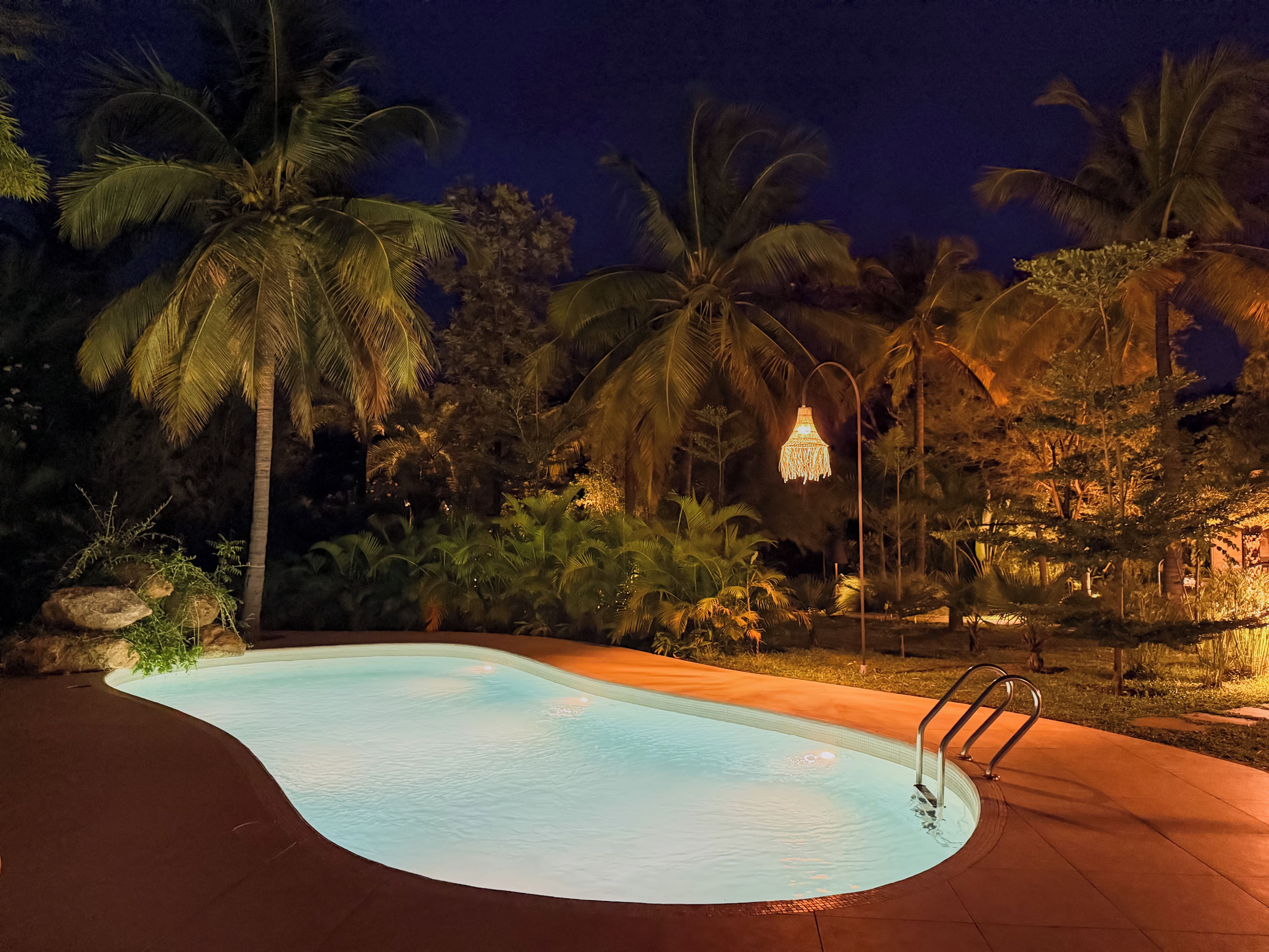 A swimming pool with a curved edge, surrounded by palm trees and a night sky.