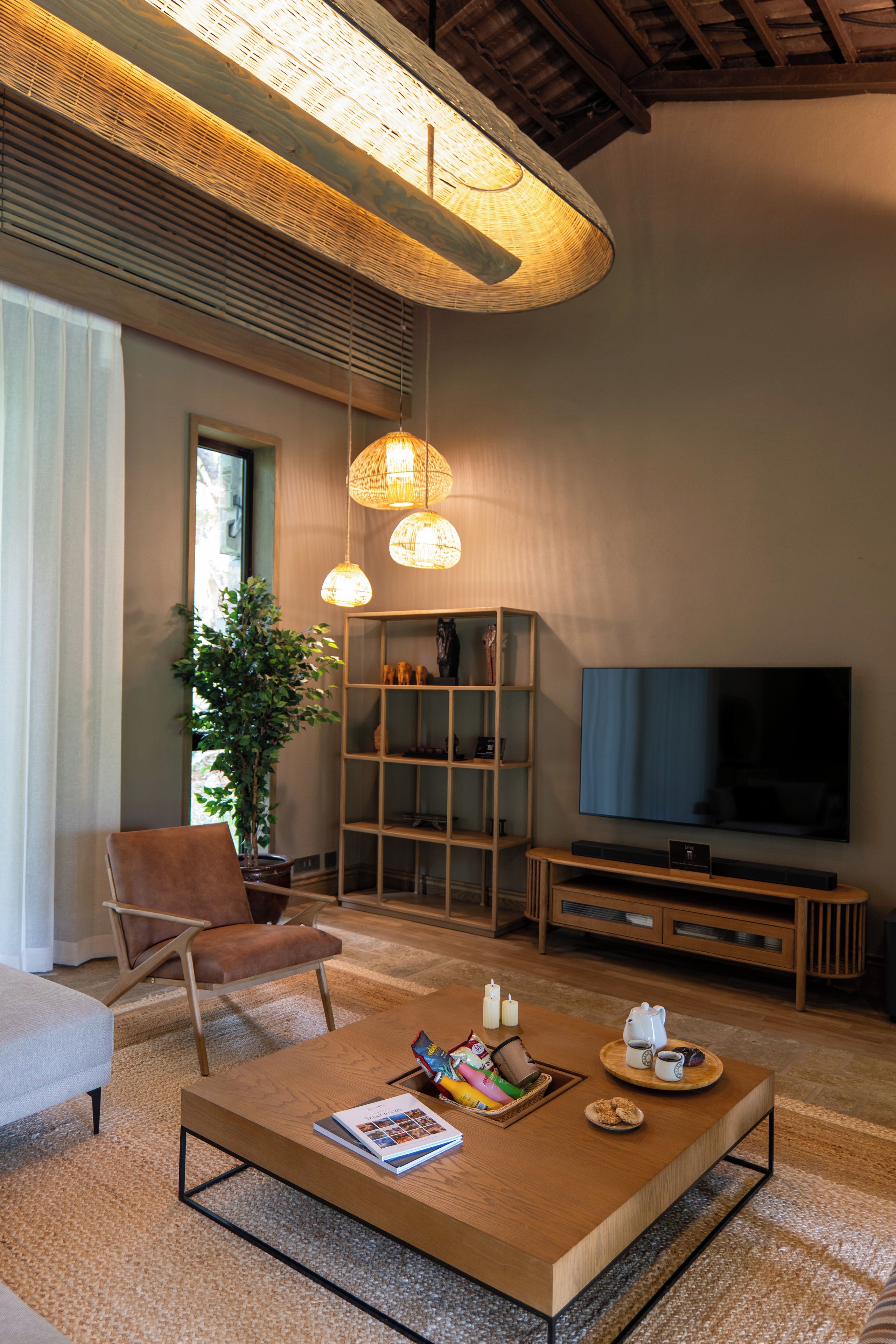 Un salon moderne avec un téléviseur à écran plat, une table basse avec des magazines et un plateau de collations, un canapé en cuir marron et une grande plante en pot.