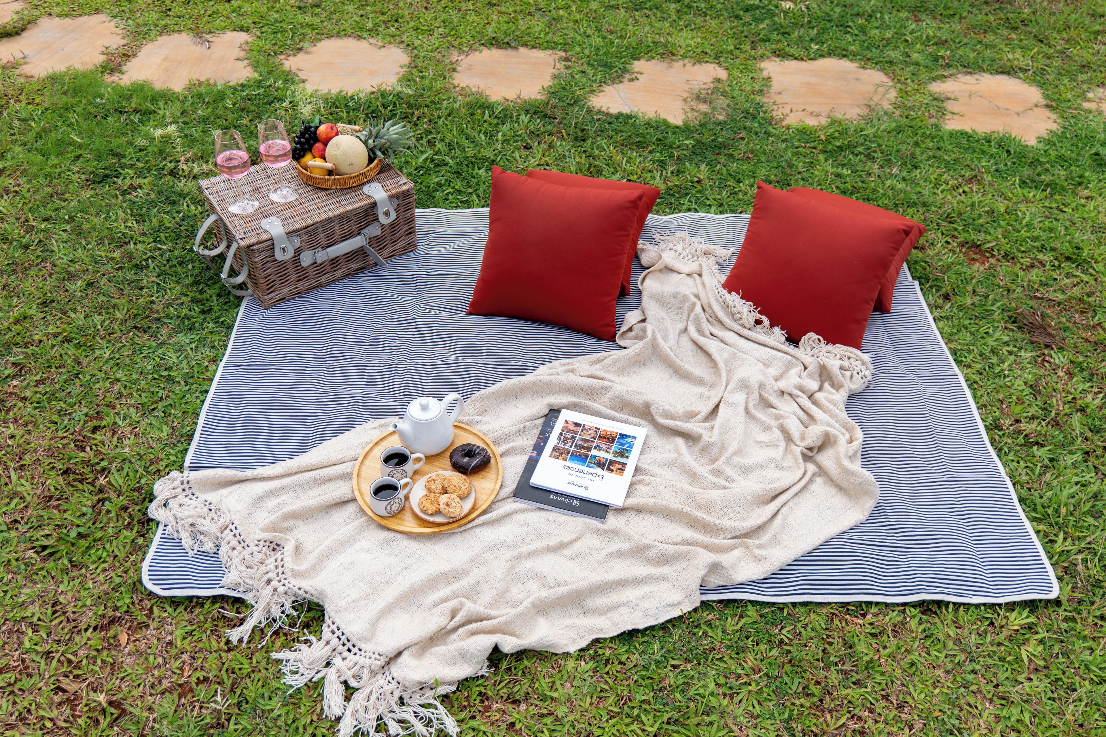 En picknickplats på gräset med en filt, kuddar, en korg och en bok.