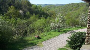 A gravel path leading through a lush green landscape with trees and a stone building on the right.
