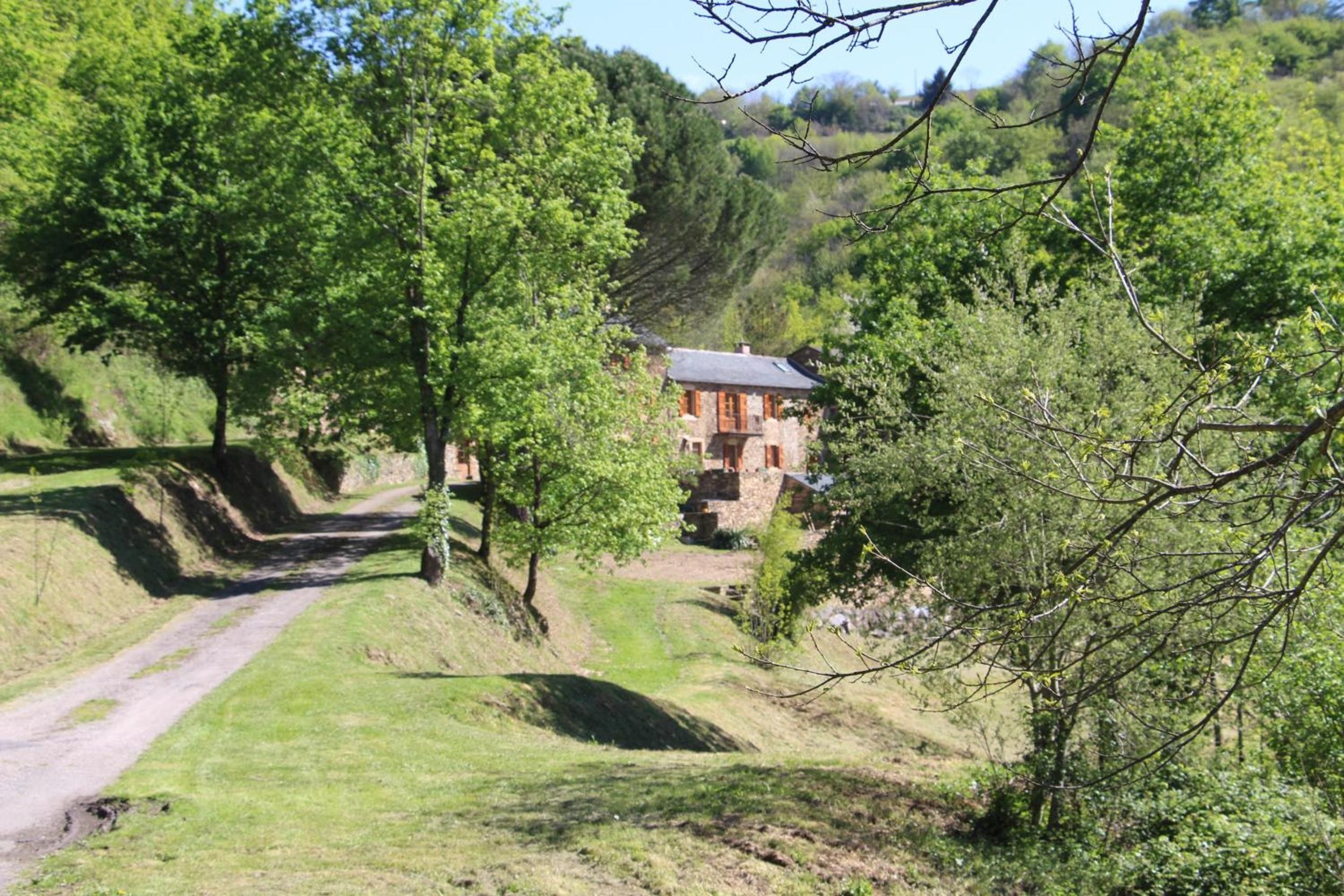 A rural house with a stone facade, surrounded by lush greenery and a dirt path leading to it.