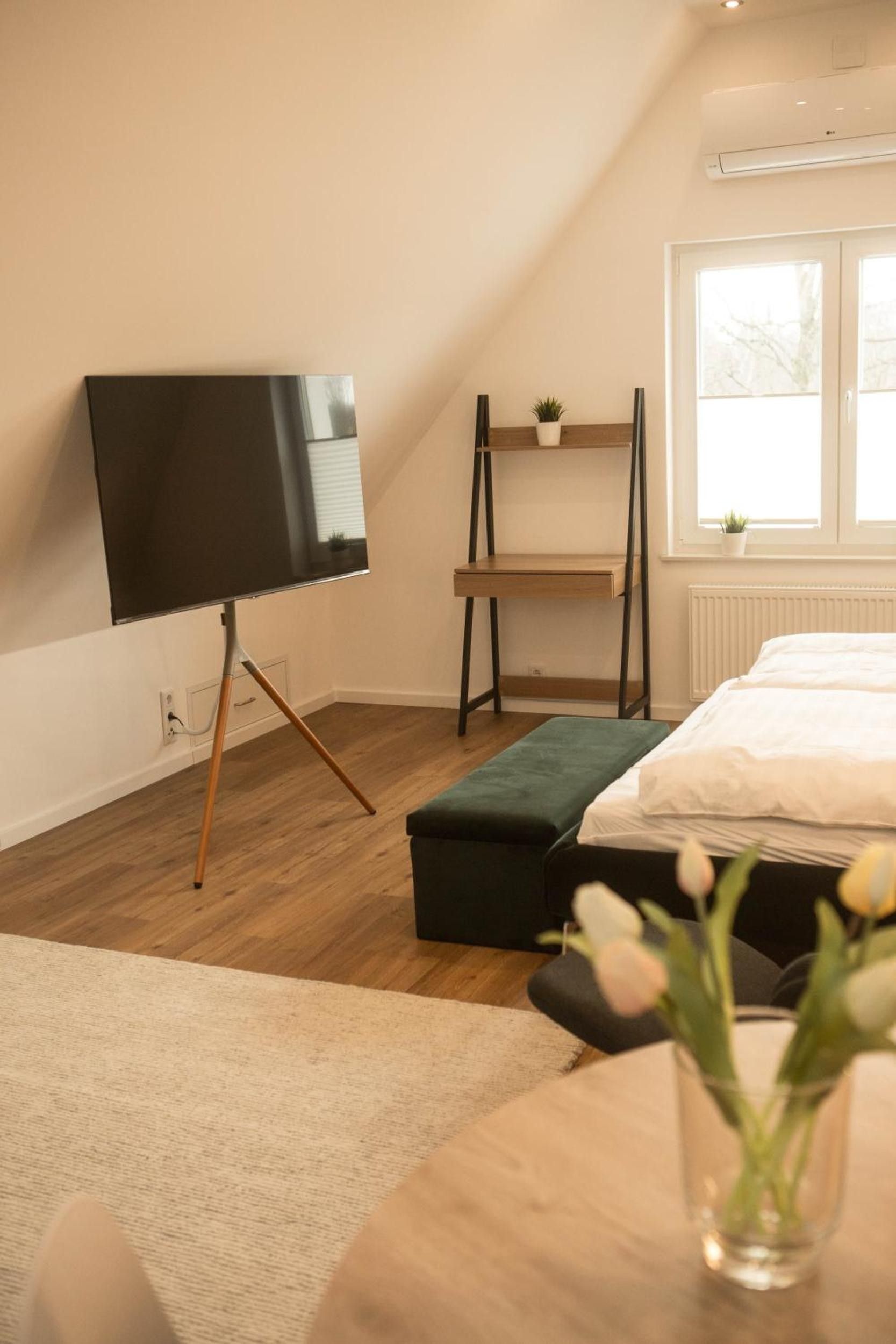 Ein Schlafzimmer mit einem Bett, einem Fernseher auf einem Schrank, einem Regal mit Pflanzen und einem Fenster.