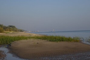 Ein Strand mit sandigem Ufer, grünen Flächen und ruhigem Gewässer.