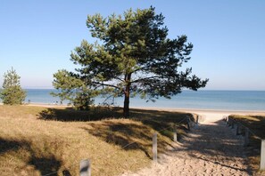 Ein Strandweg führt zum Meer, mit einer Kiefer und blauem Himmel.
