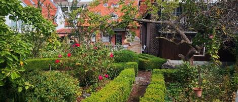 A garden with neatly trimmed hedges and a variety of plants.