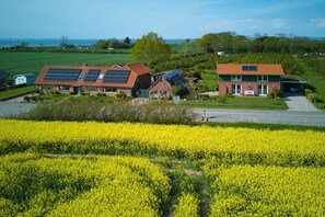 A rural property with a large building featuring solar panels, a field of yellow flowers, and a clear view of the sea. - Holiday home with 2 bedrooms (Wackerballig)