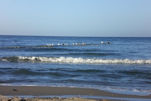 Ein Strand mit Wellen, einem Steg und Möwen.