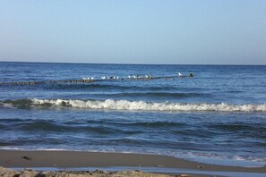 Ein Strand mit Wellen, einem Steg und Vögeln.