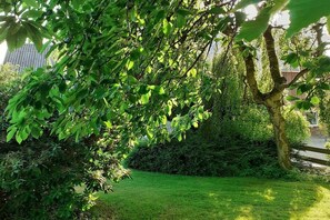Ein üppiger, grüner Garten mit verschiedenen Bäumen und Sträuchern.