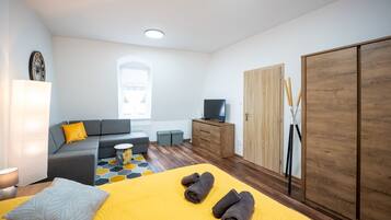 Ein modernes Schlafzimmer mit einem Bett, einer Couch, einem Fernseher und einem Kleiderschrank.
