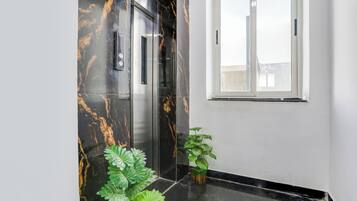 Elevador moderno com paredes de mármore e um vaso de planta ao lado.