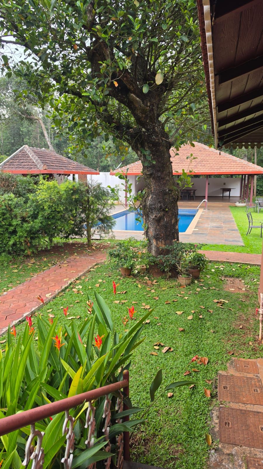 A tree-lined pathway leading to a building with a tiled roof, a swimming pool, and a grassy area with potted plants.