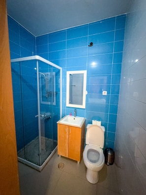 Een badkamer met blauwe tegels, een douchecabine van glas, een wit toilet en een houten kastje.