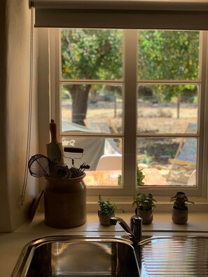 Une cuisine avec une fenêtre, un évier et une plante en pot posée sur le rebord de la fenêtre.