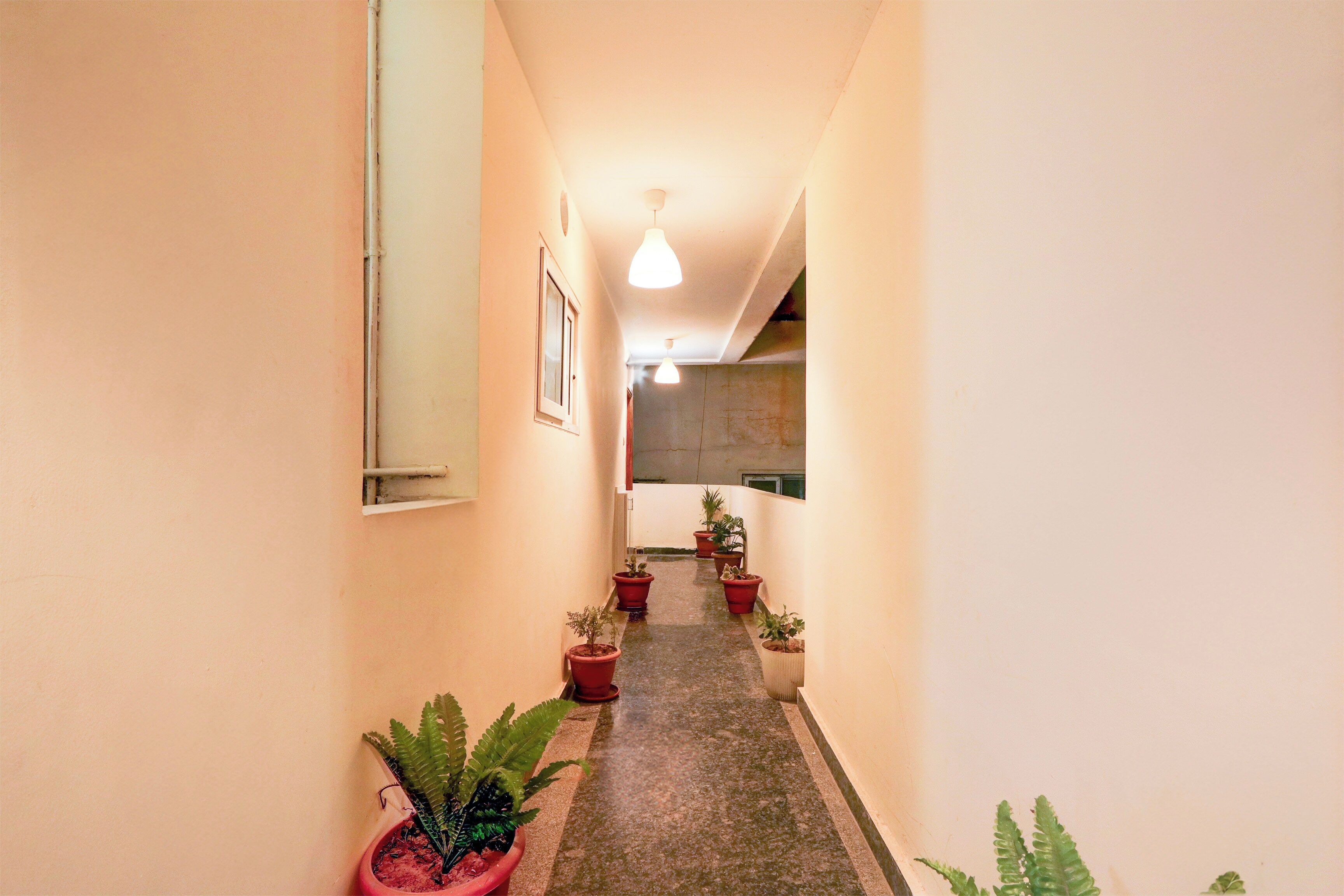 A corridor with potted plants, a ceiling light, and a door at the end.