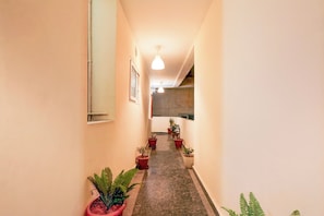 Un couloir orné de plantes en pot, un luminaire au plafond et une porte au fond.