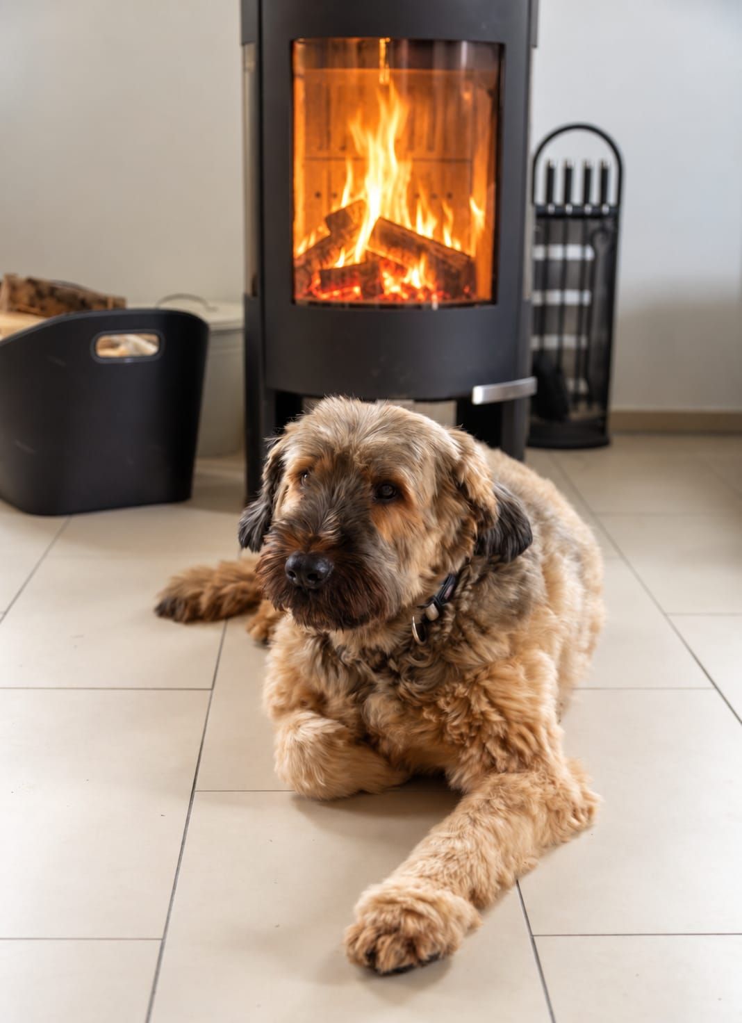 A dog lying on a tiled floor with a wood-burning stove in the background.