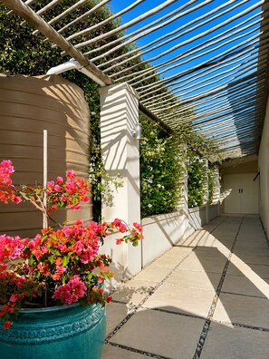 Ett takförsett utomhusområde med en pergola, planterade blommor i krukor och en gångbana med plattor.