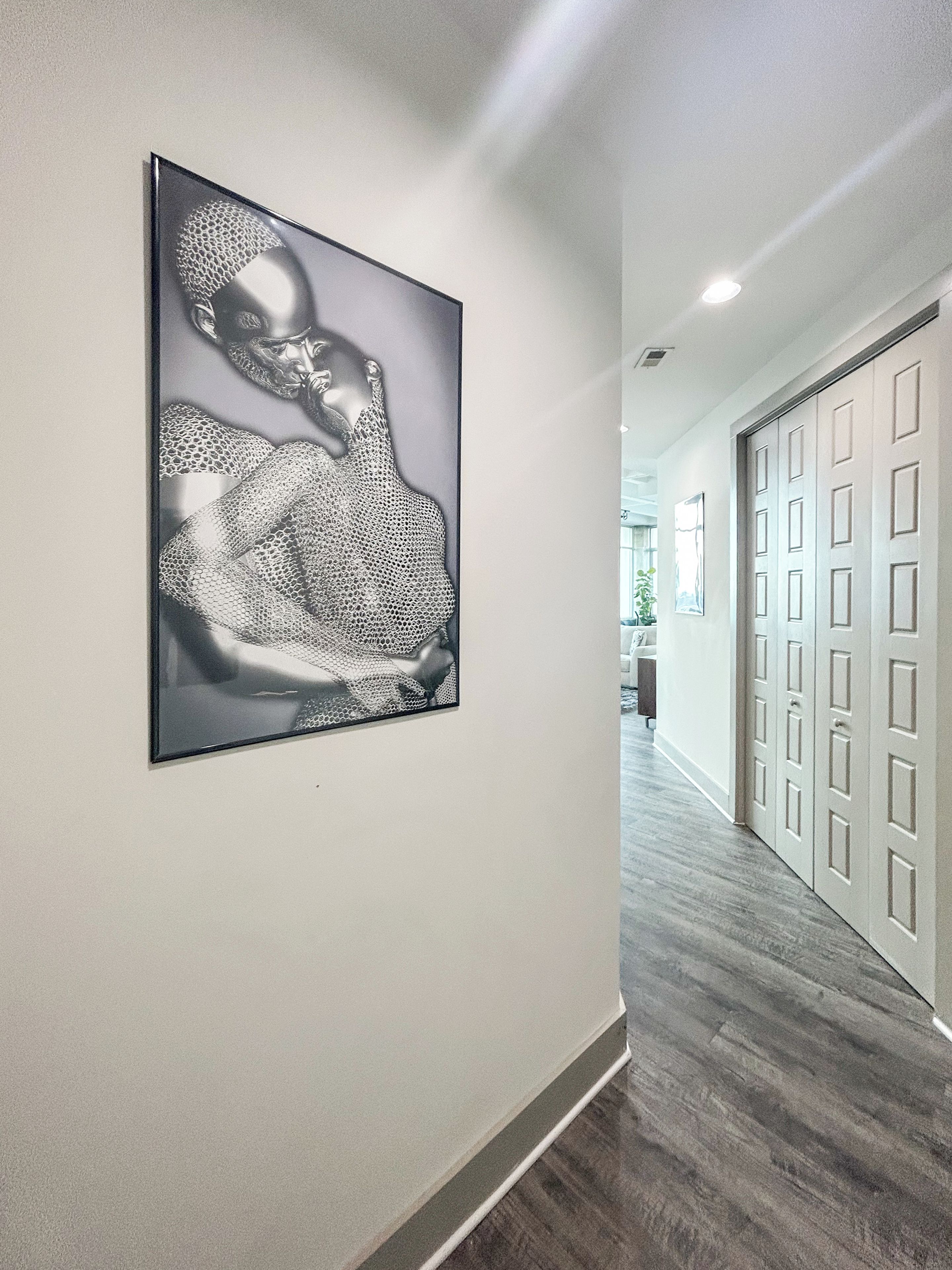 Um corredor com uma obra de arte emoldurada na parede e uma porta com design em painel.