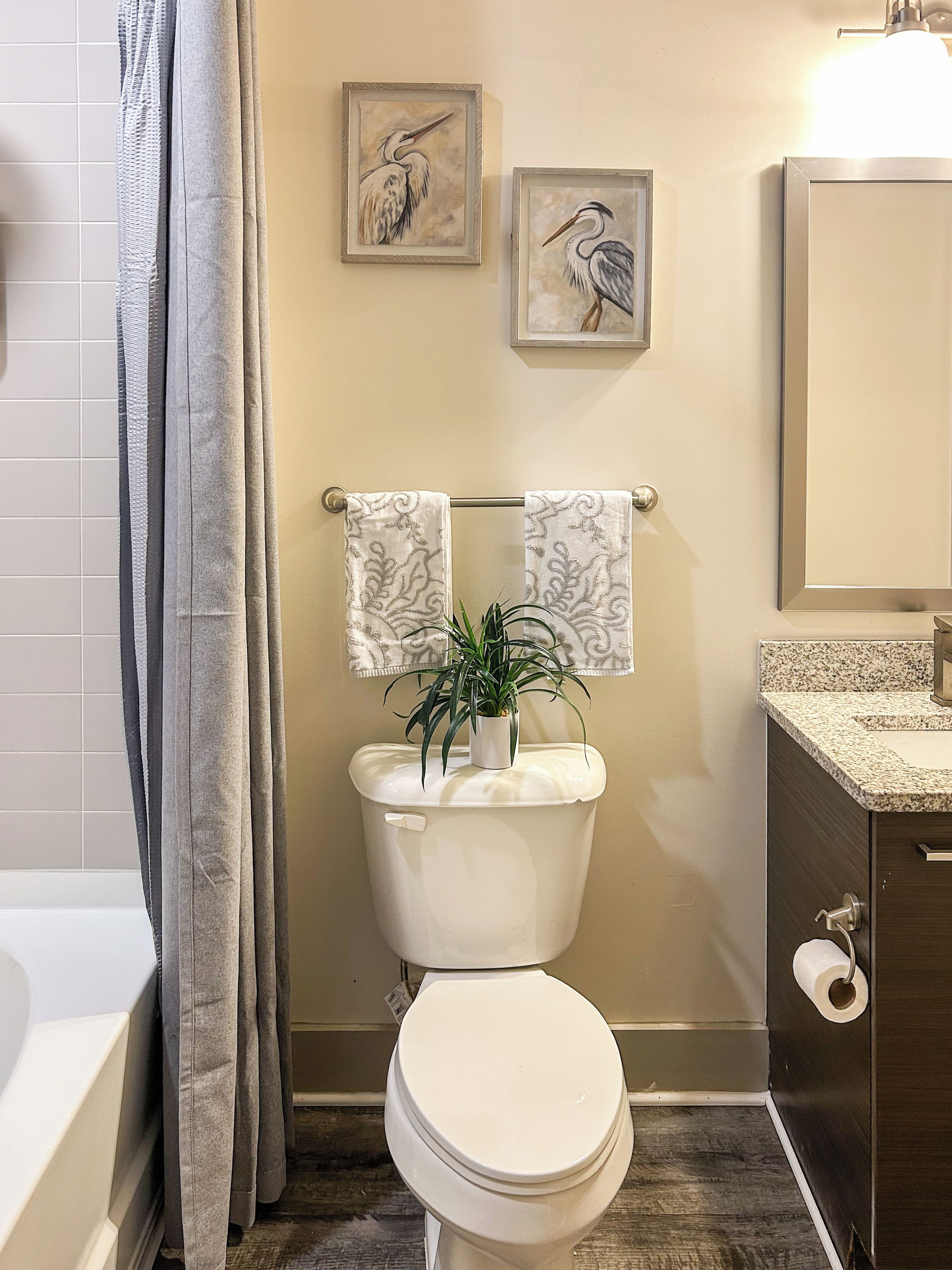 Un baño con inodoro, lavamanos, espejo y dos cuadros enmarcados.