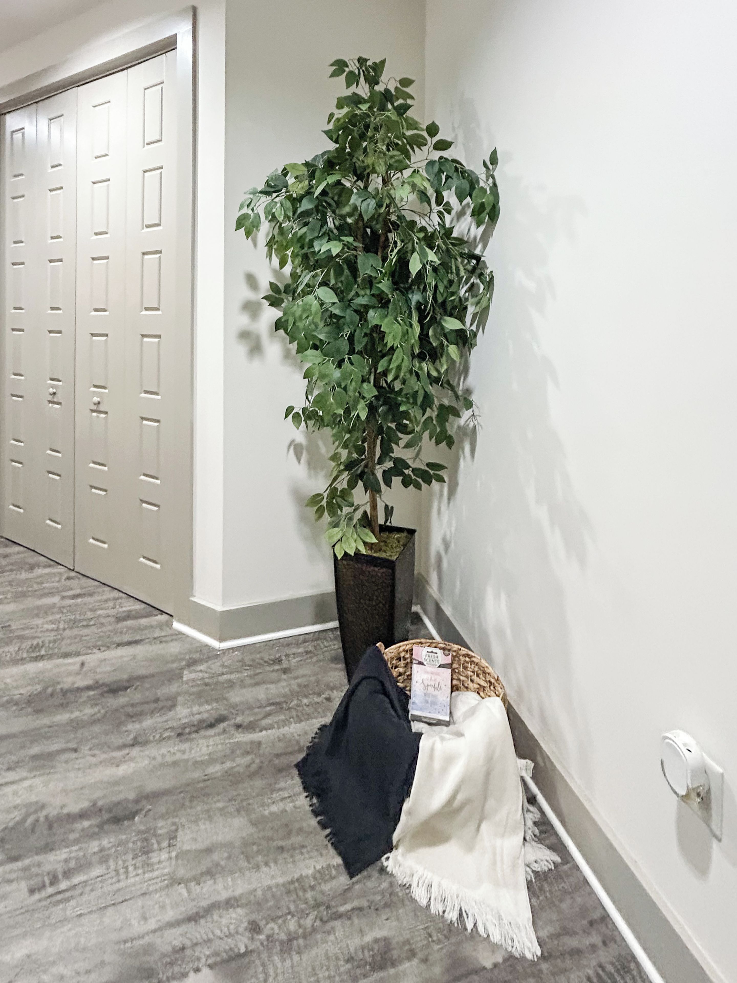 Passadís amb una planta en test, una cistella plena d'objectes i una porta amb un manillar.