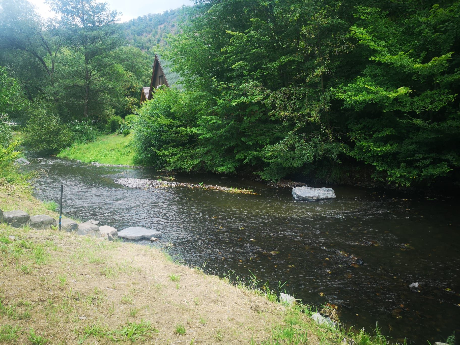 Ein Fluss mit Felsen und dichter Vegetation an beiden Ufern.