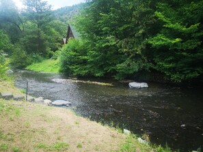 Un río con rocas y abundante vegetación a ambos lados.