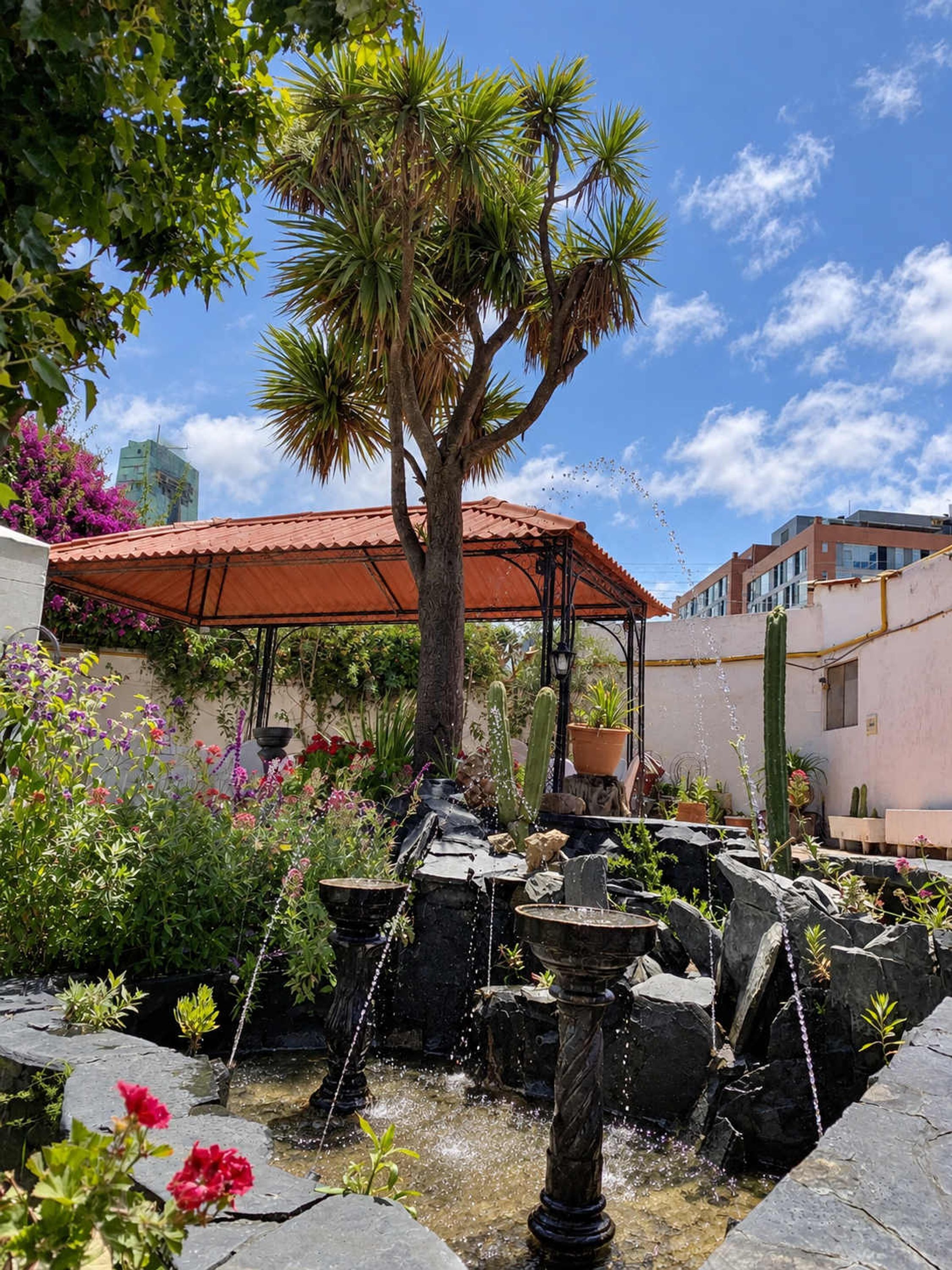 A garden with a fountain, palm trees, and a red-roofed structure.