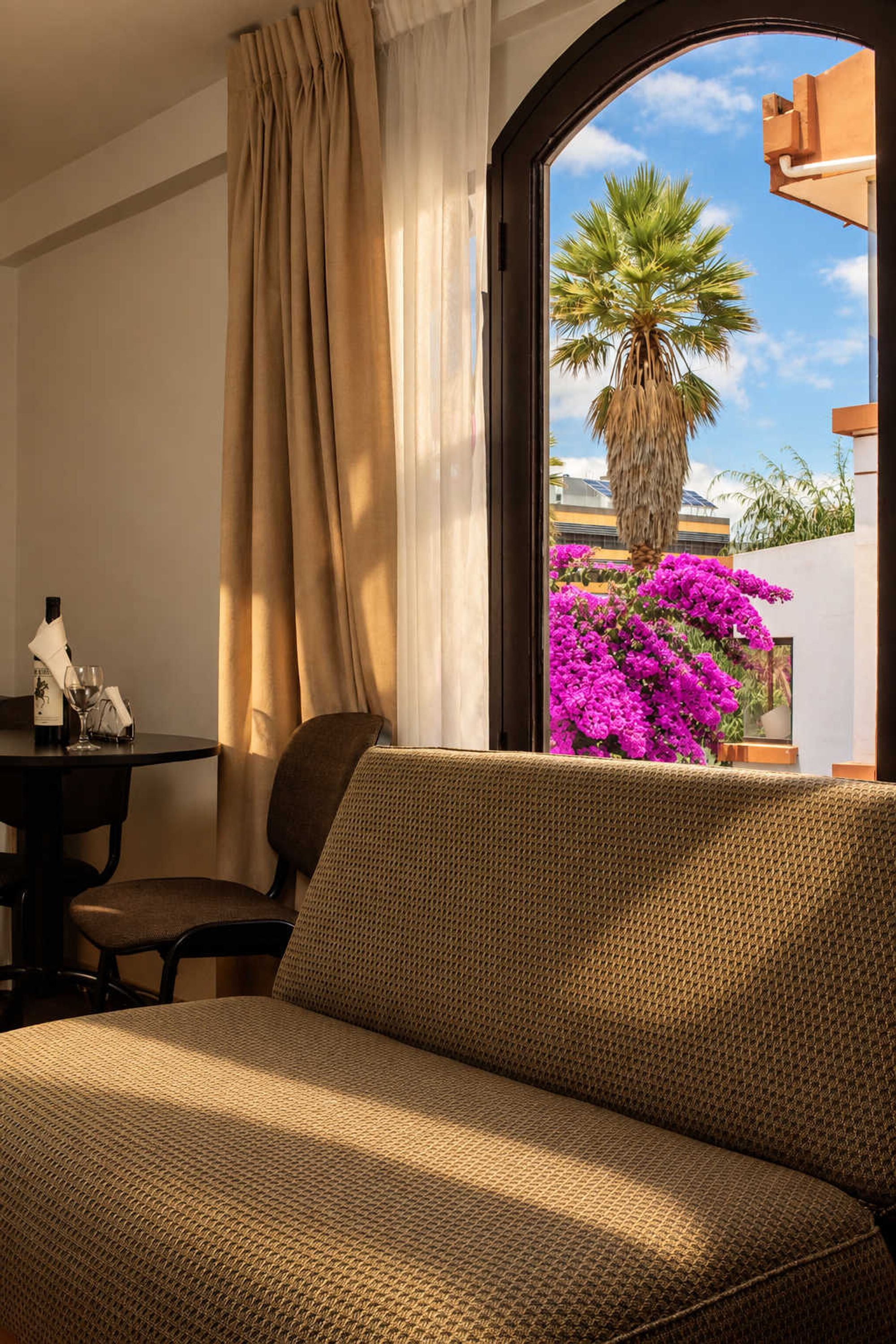 Una habitación con sofá, una mesa con una botella y un vaso, y una ventana que da a una palmera y flores moradas.