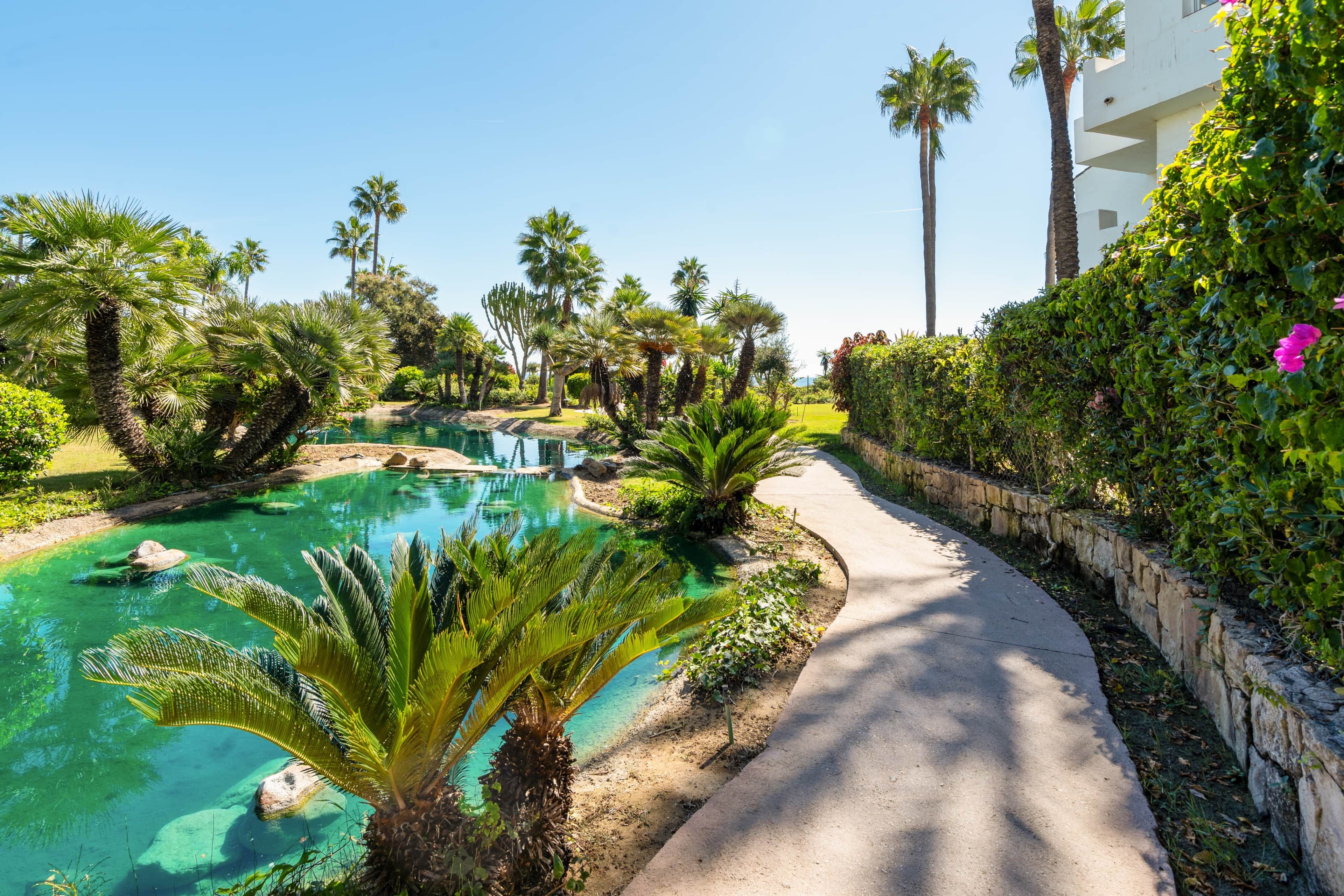 Una piscina cristal·lina envoltada de palmeres i un camí.