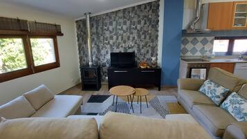 Ein Wohnzimmer mit einer Couch, einem Fernseher, einem Kamin und einer Küchenzeile mit Schränken und einem Fenster.