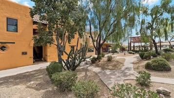 A courtyard with a cactus garden, a pathway, and a building with a tiled roof.