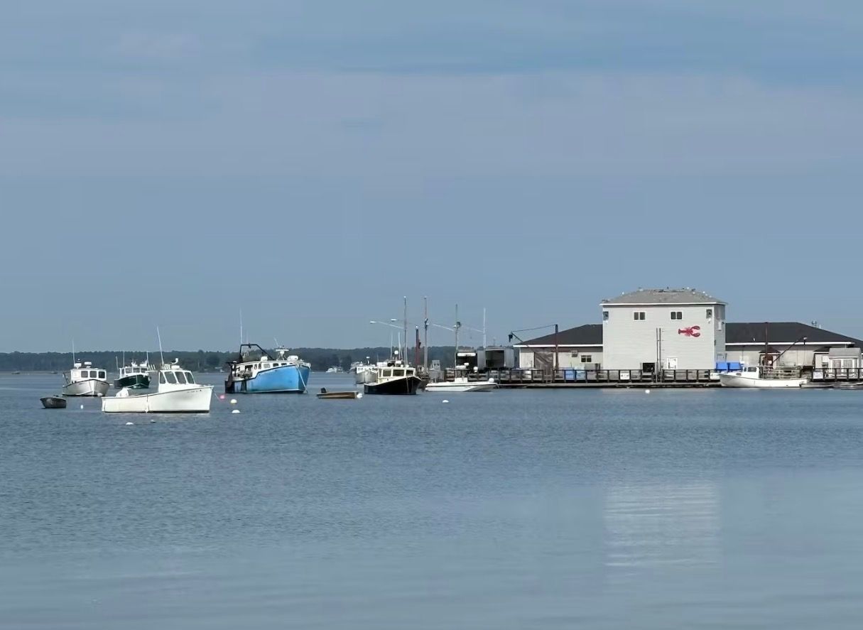 A calm harbor with several boats docked near a white building with a red logo.