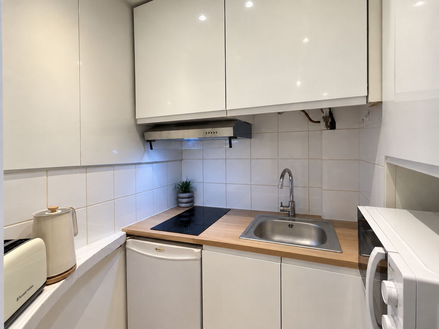 Una cocina compacta con armarios blancos, encimera negra, pileta de acero inoxidable, lavavajillas integrado y una pequeña planta en maceta.
